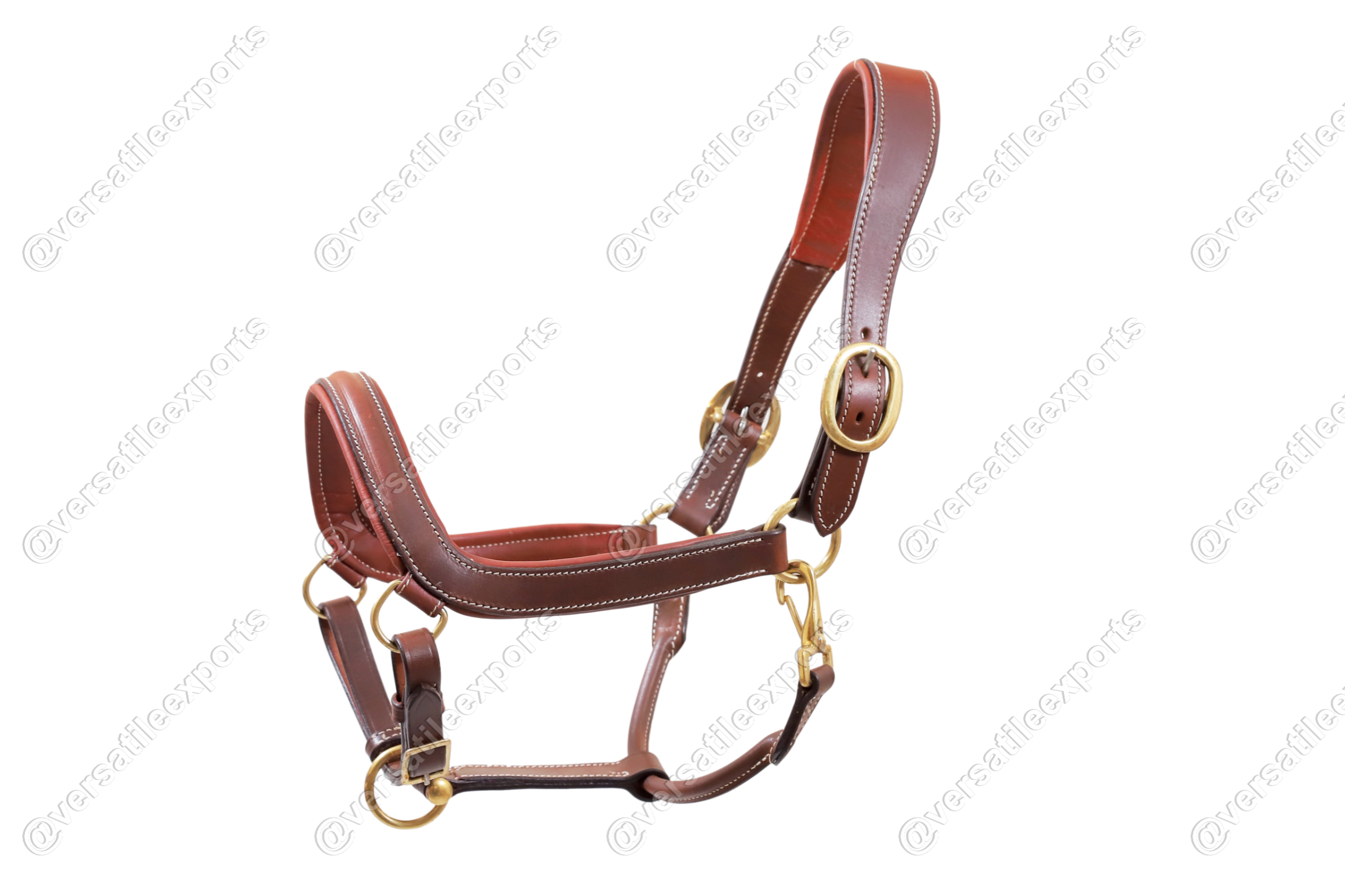 Padded Halter - Versatile Exports